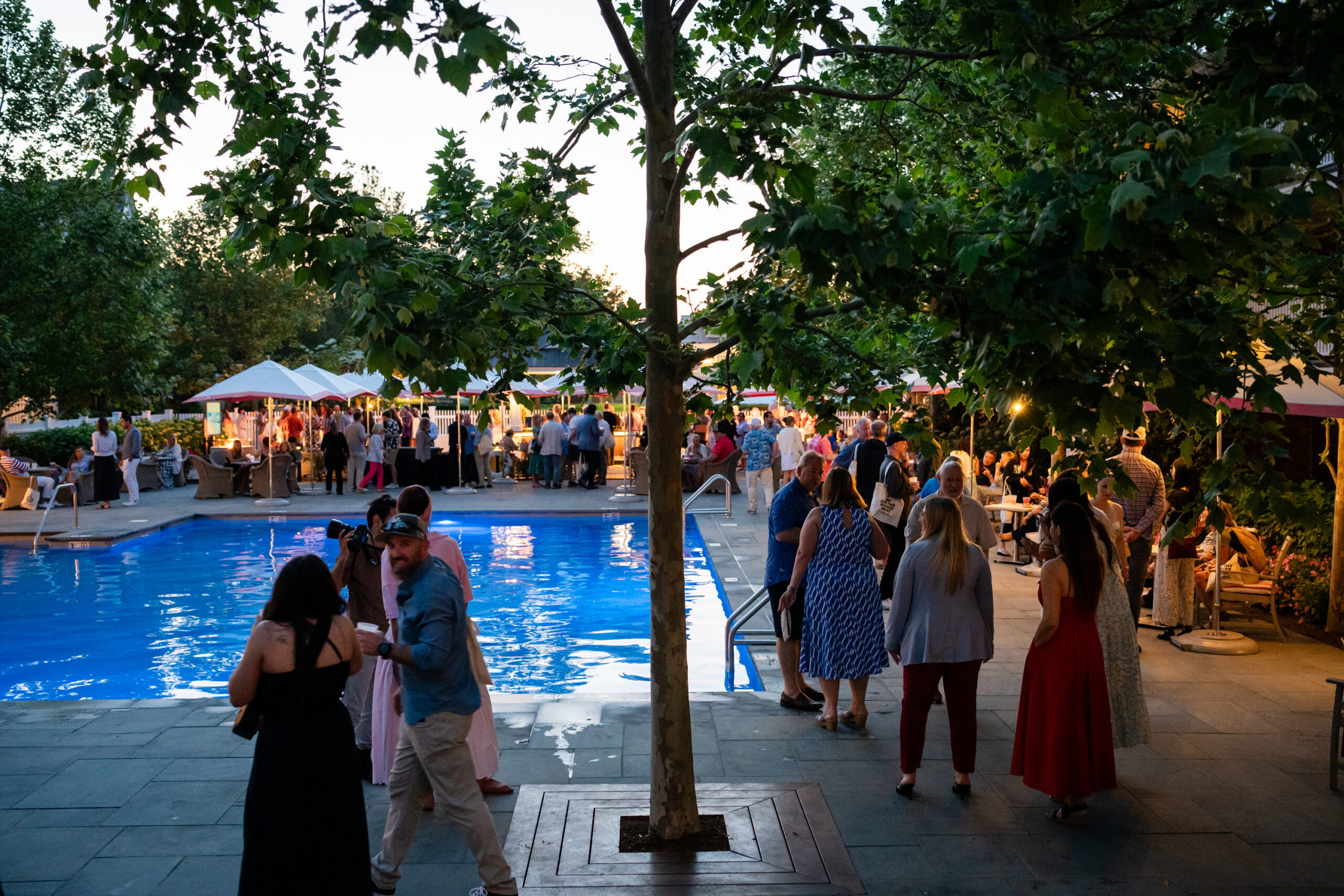 Harbor View Jaws Party